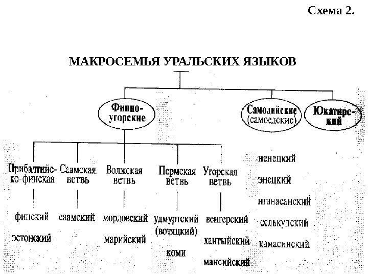 Уральская финно угорская группа